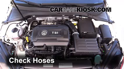 How to Add Coolant: Volkswagen GTI (2015-2019) - 2016 Volkswagen GTI S